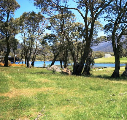 Lake Crackenback Land For Sale in the Thredbo Valley