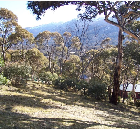 Elevated Land For Sale at Lake Crackenback