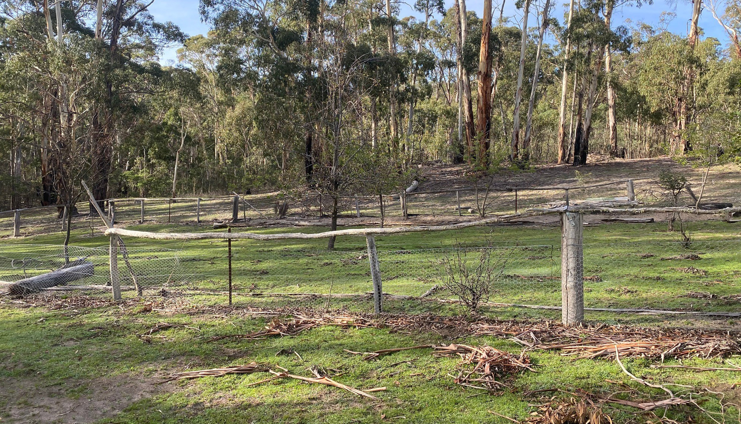 100ha Bush Block 30 minutes from Jindabyne 300,000 Forbes Stynes