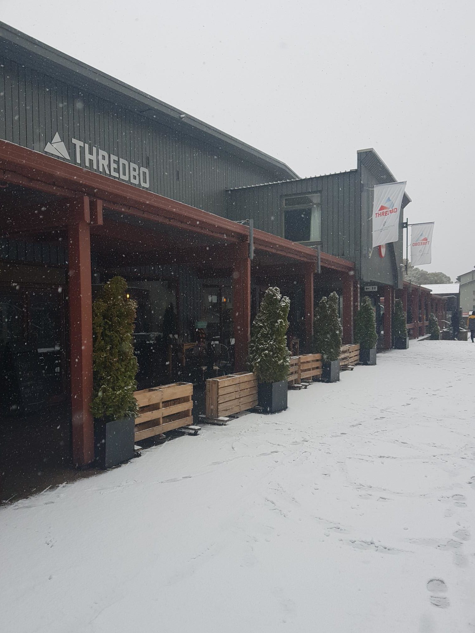 Unique & Quirky Restaurant in the Heart of Thredbo Village Square PRICE DROP 198,000 Forbes