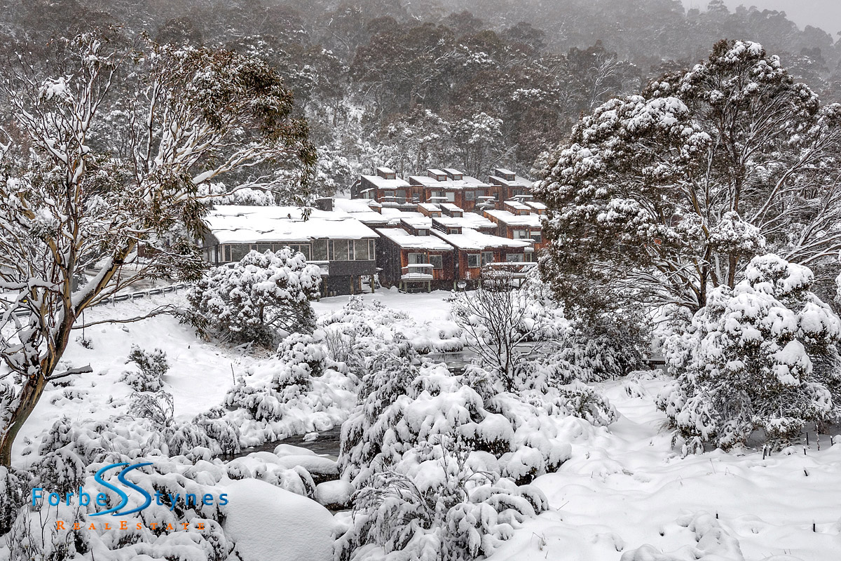North facing Riverside cabin overlooking the Thredbo River Offers Invited Over 950,000 FSRE