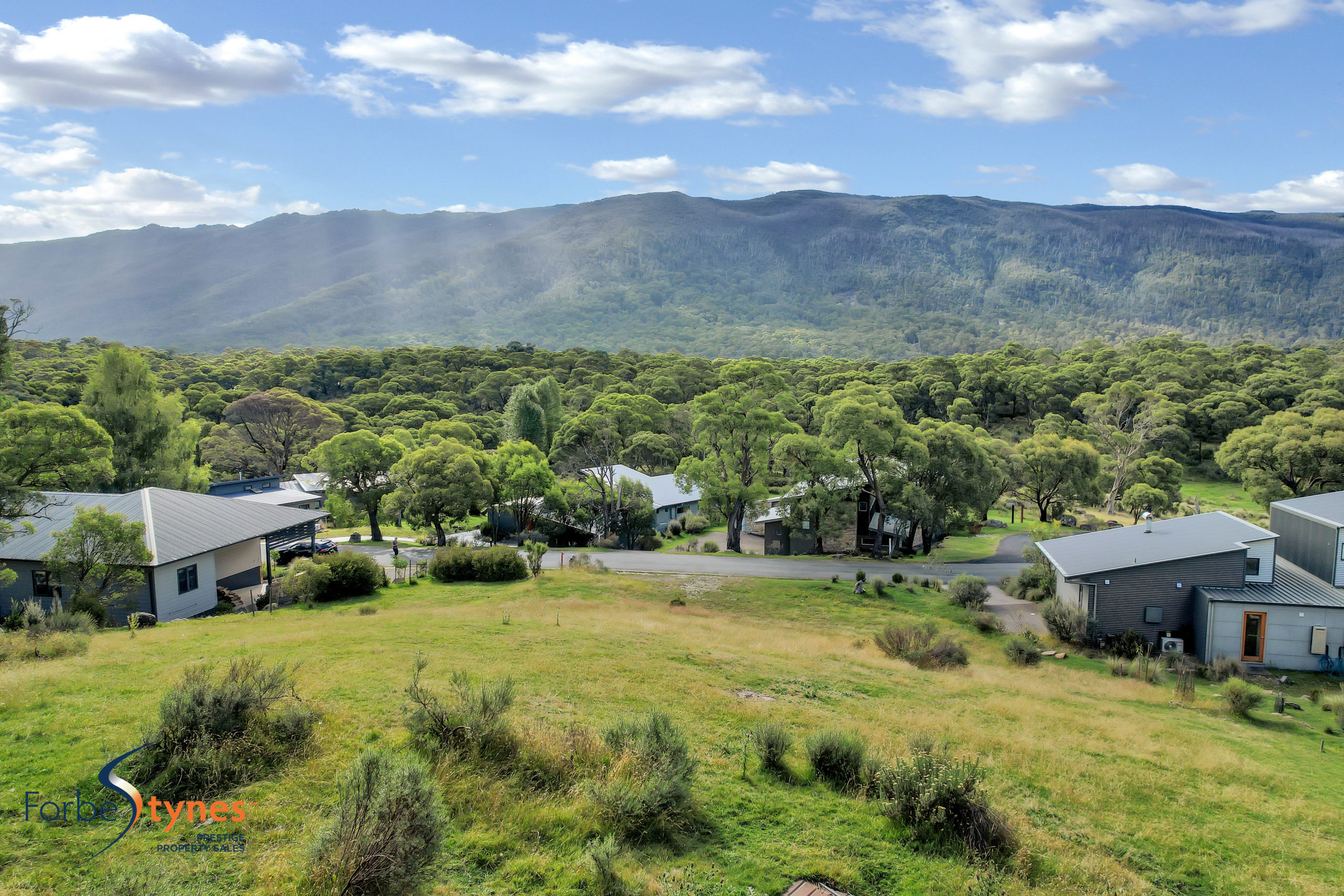 Our Listings Forbes Stynes Prestige Property Sales Snowy Mountains