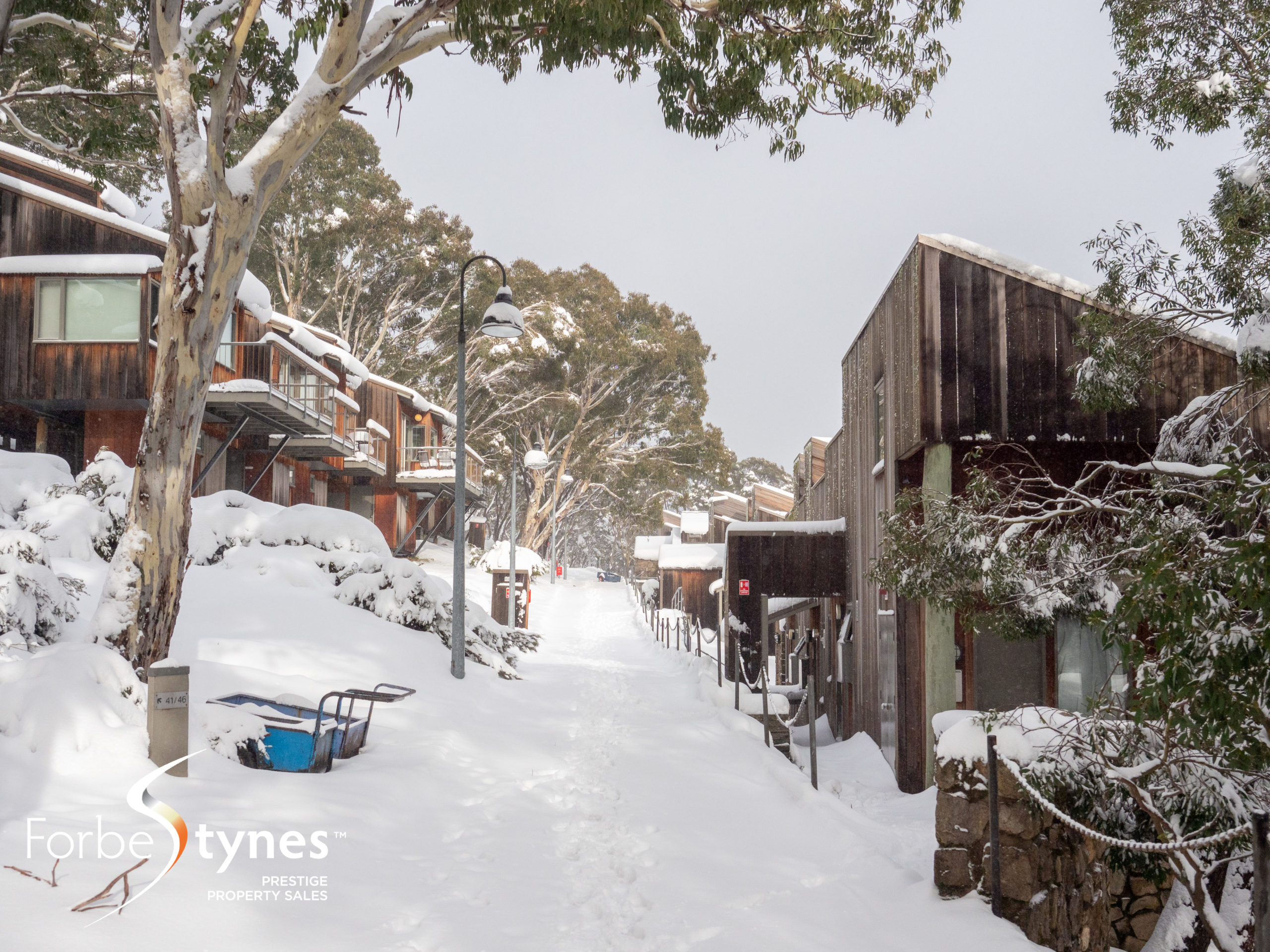 Our Listings Forbes Stynes Prestige Property Sales Snowy Mountains Real Estate Thredbo Village